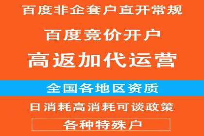 竞价开户的技巧与策略：企业必看案例分析